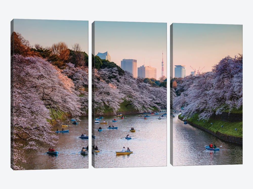 Cherry Blossoms In Tokyo I by Matteo Colombo 3-piece Canvas Wall Art