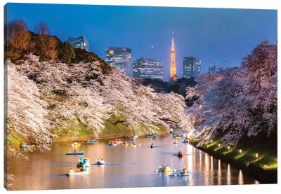 Cherry Blossoms In Tokyo II Canvas Art Print - Cherry Blossom Art