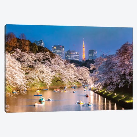 Cherry Blossoms In Tokyo II Canvas Print #TEO1101} by Matteo Colombo Canvas Wall Art