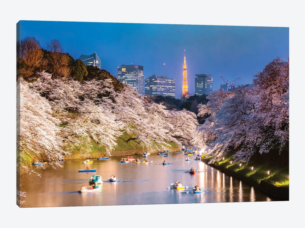 Cherry Blossoms In Tokyo II by Matteo Colombo 1-piece Canvas Print