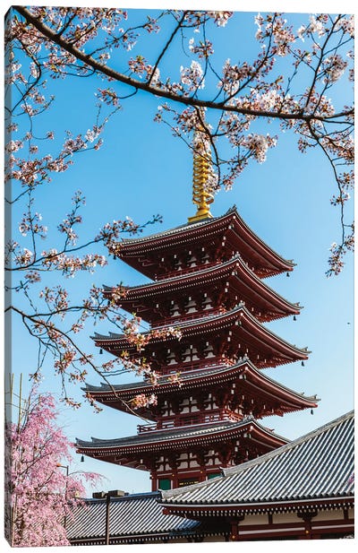 Springtime In Japan Canvas Art Print - Cherry Blossom Art