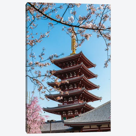 Springtime In Japan Canvas Print #TEO1105} by Matteo Colombo Canvas Print