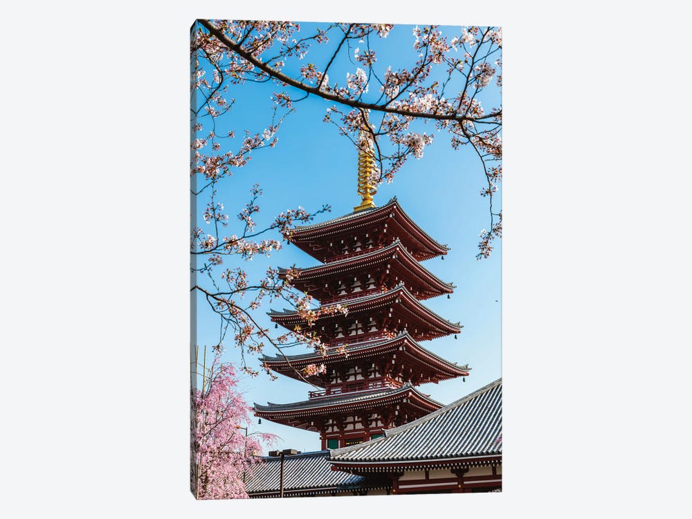 Springtime In Japan by Matteo Colombo 1-piece Canvas Art Print