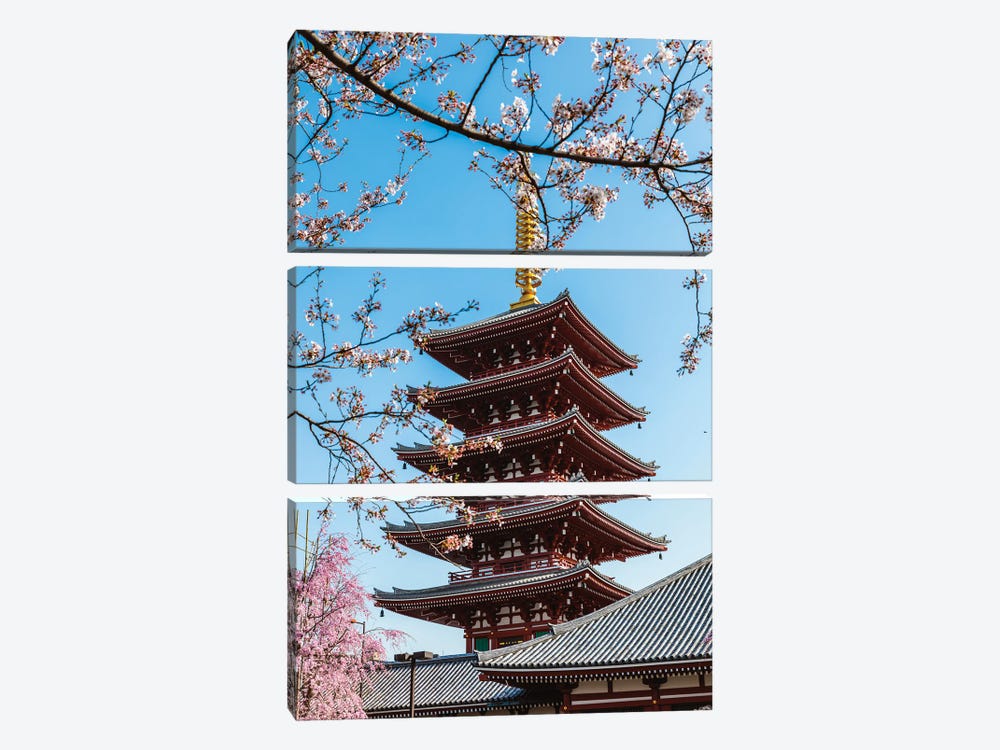 Springtime In Japan by Matteo Colombo 3-piece Canvas Print