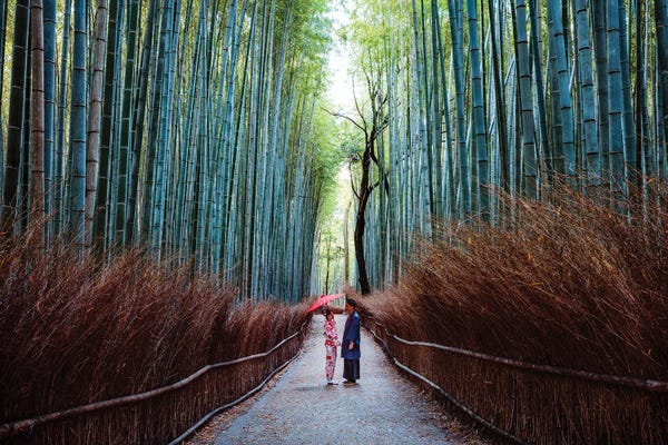 Natural Wonders: From Japan With Love by Matteo Colombo