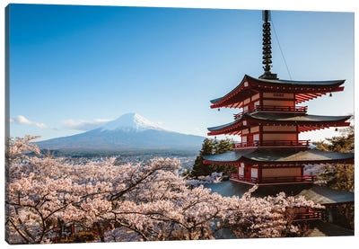 Springtime At Mount Fuji, Japan Canvas Art Print - Blossom Art