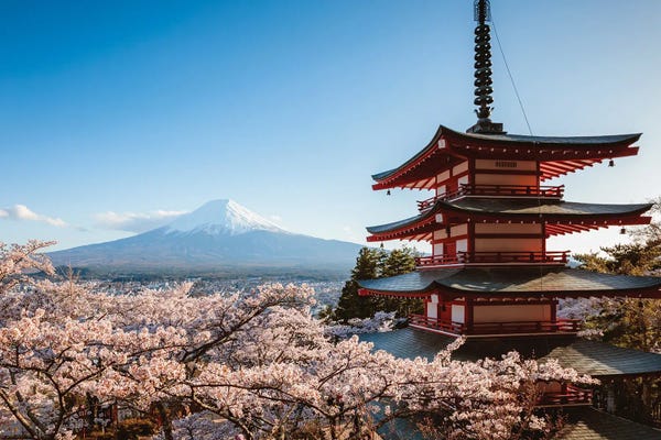 Blossoms: Springtime At Mount Fuji, Japan by Matteo Colombo
