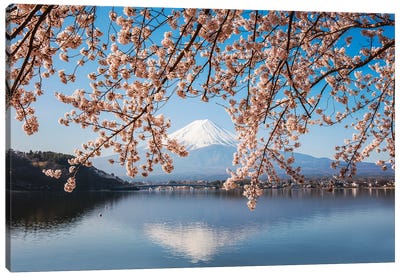 Mount Fuji, Japan I Canvas Art Print - Cherry Blossom Art