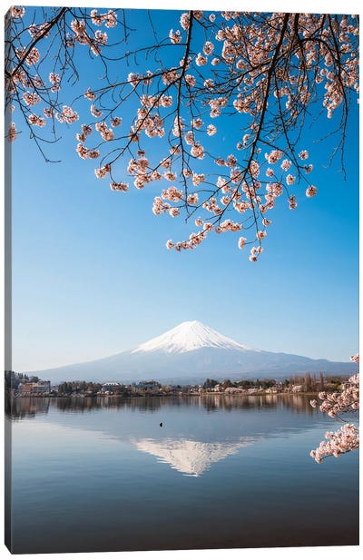 Mount Fuji, Japan II Canvas Art Print - Cherry Blossom Art