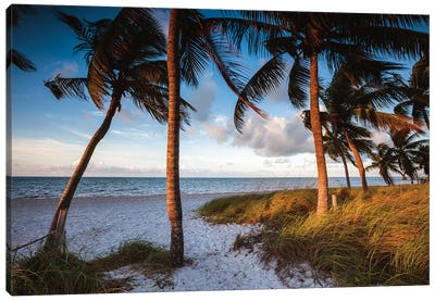 Key West Beach At Sunrise Canvas Art Print - Palm Tree Art