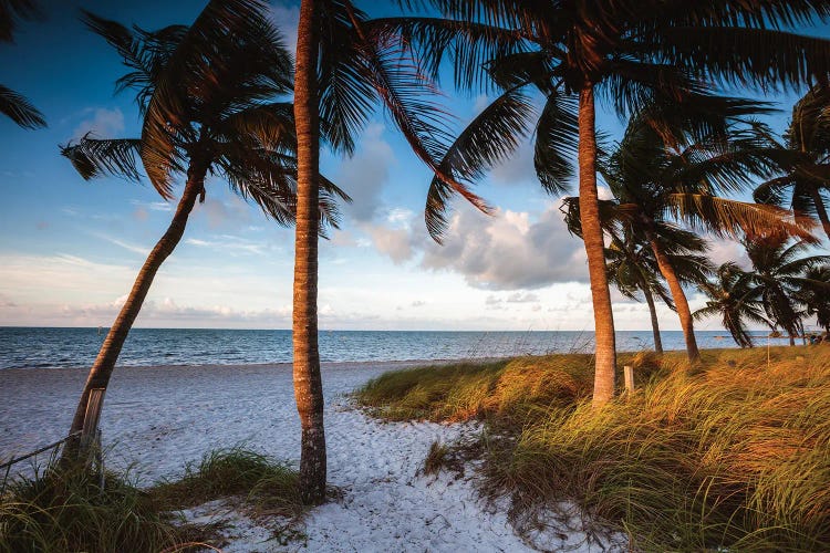 Key West Beach At Sunrise