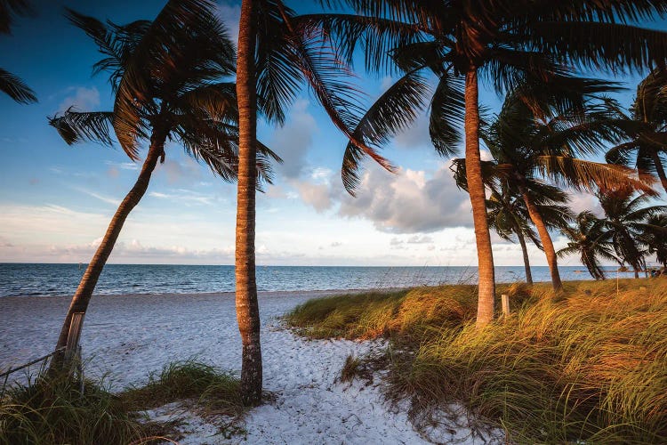 Key West Beach At Sunrise by Matteo Colombo wall art