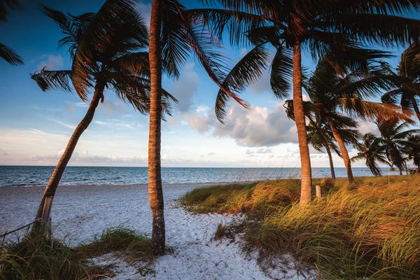 Key West: Key West Beach At Sunrise by Matteo Colombo