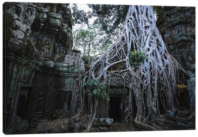 The Temple In The Jungle, Cambodia Canvas Art Print - Ancient Ruins Art