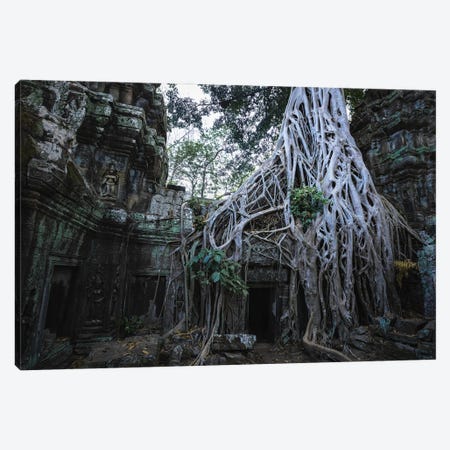 The Temple In The Jungle, Cambodia Canvas Print #TEO1156} by Matteo Colombo Canvas Wall Art
