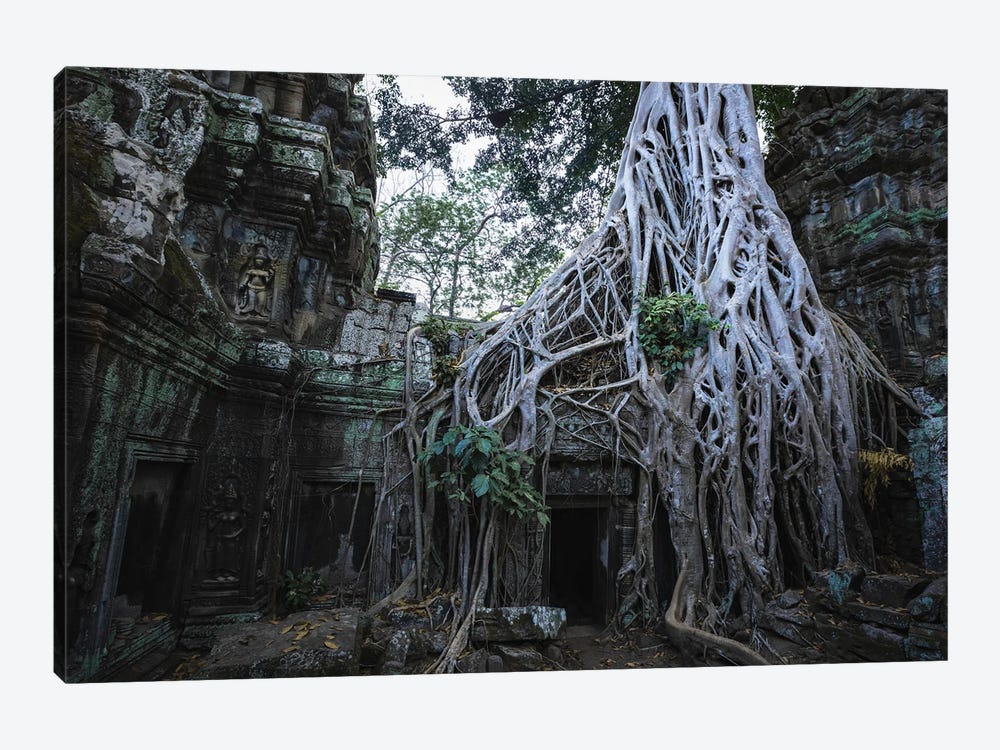 The Temple In The Jungle, Cambodia by Matteo Colombo 1-piece Canvas Art Print