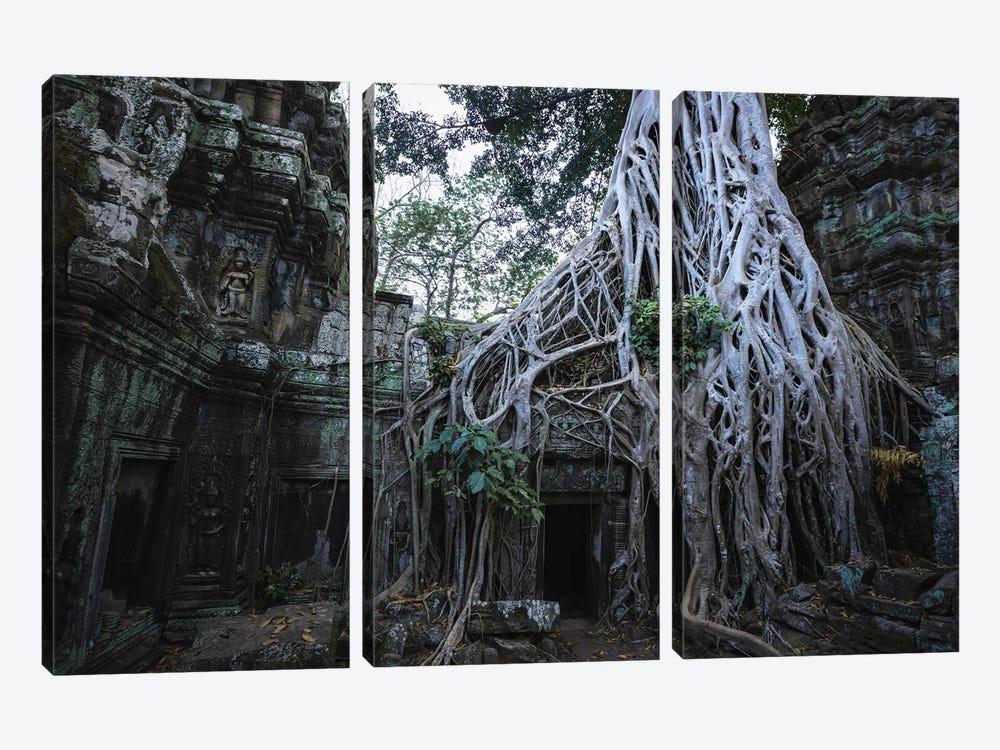 The Temple In The Jungle, Cambodia by Matteo Colombo 3-piece Art Print
