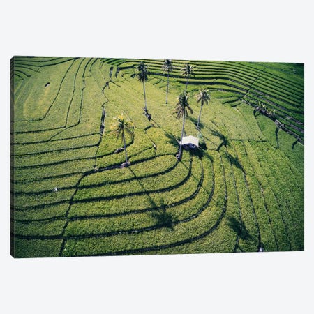 At The Rice Paddies, Philippines Canvas Print #TEO1165} by Matteo Colombo Canvas Art Print
