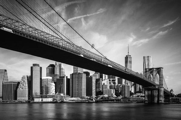 Brooklyn: Brooklyn Bridge And Lower Manhattan by Matteo Colombo