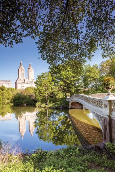 Central Park: Bow Bridge In Spring, Central Park, New York by Matteo Colombo