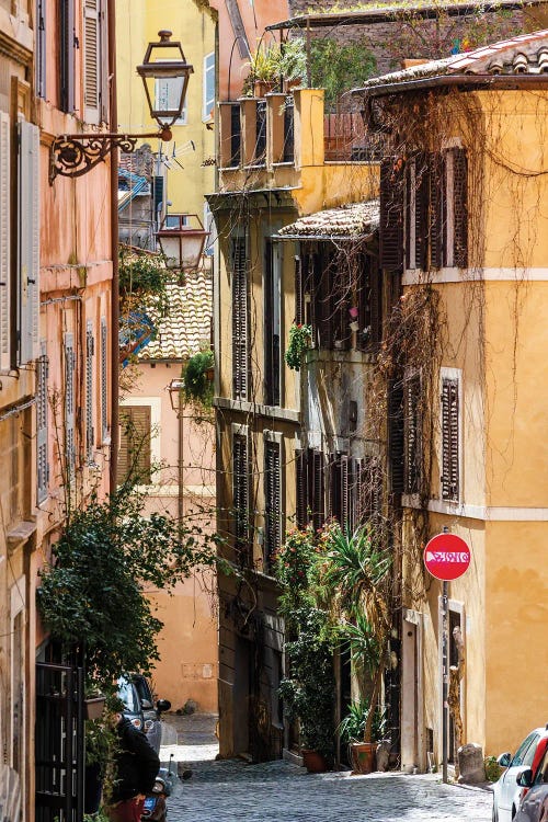 Walking In Monti, Rome IV by Matteo Colombo wall art
