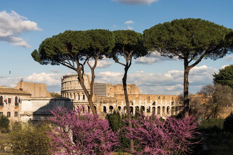 A View On The Coliseum, Rome