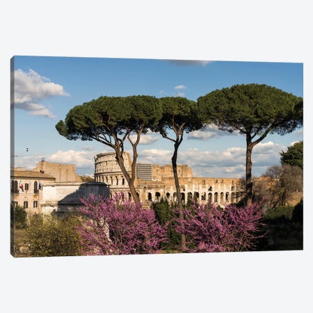 A View On The Coliseum, Rome Canvas Print #TEO1268} by Matteo Colombo Art Print