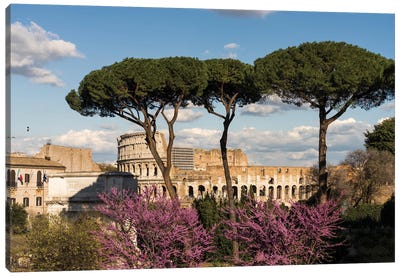 A View On The Coliseum, Rome Canvas Art Print - Ancient Ruins Art