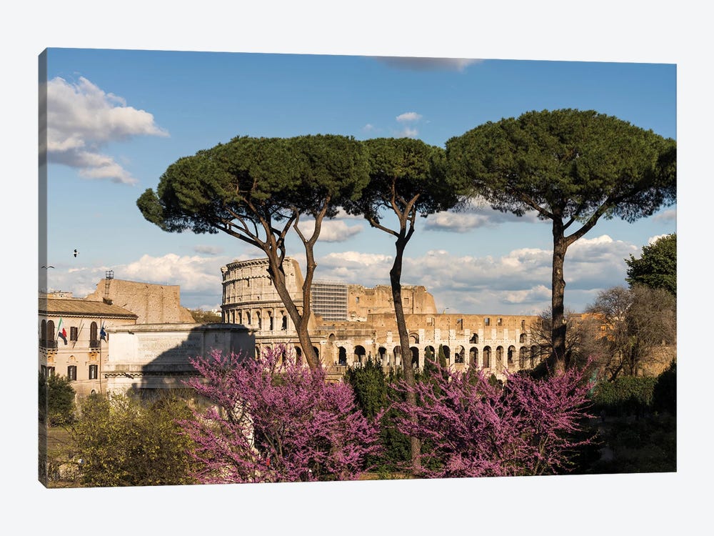 A View On The Coliseum, Rome by Matteo Colombo 1-piece Canvas Wall Art