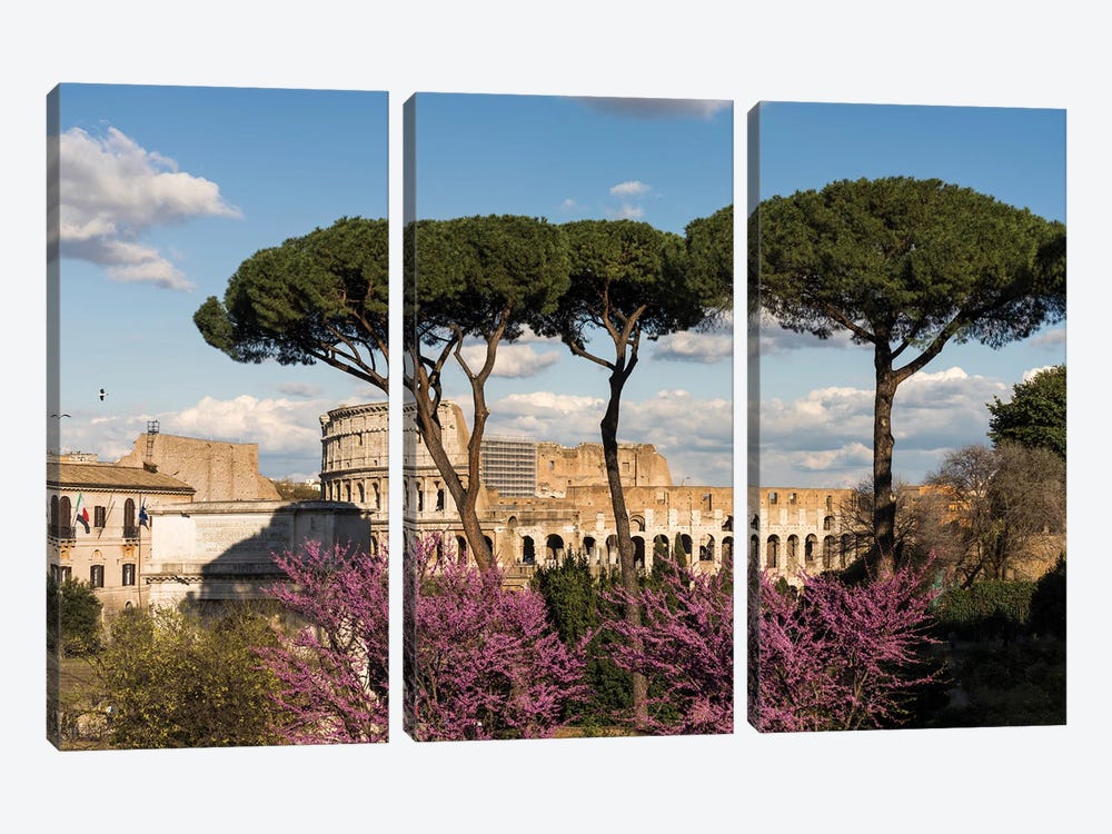 A View On The Coliseum, Rome by Matteo Colombo 3-piece Canvas Wall Art