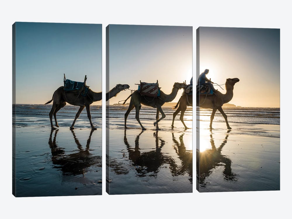 Camels At The Beach, Morocco by Matteo Colombo 3-piece Canvas Print