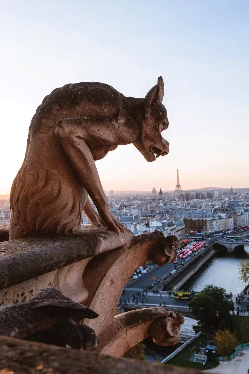 notre dame cathedral gargoyles drawing