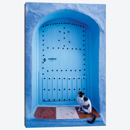 Cat And Blue Door, Morocco Canvas Print #TEO1348} by Matteo Colombo Canvas Wall Art