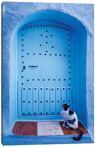 Cat And Blue Door, Morocco Canvas Art Print - Morocco