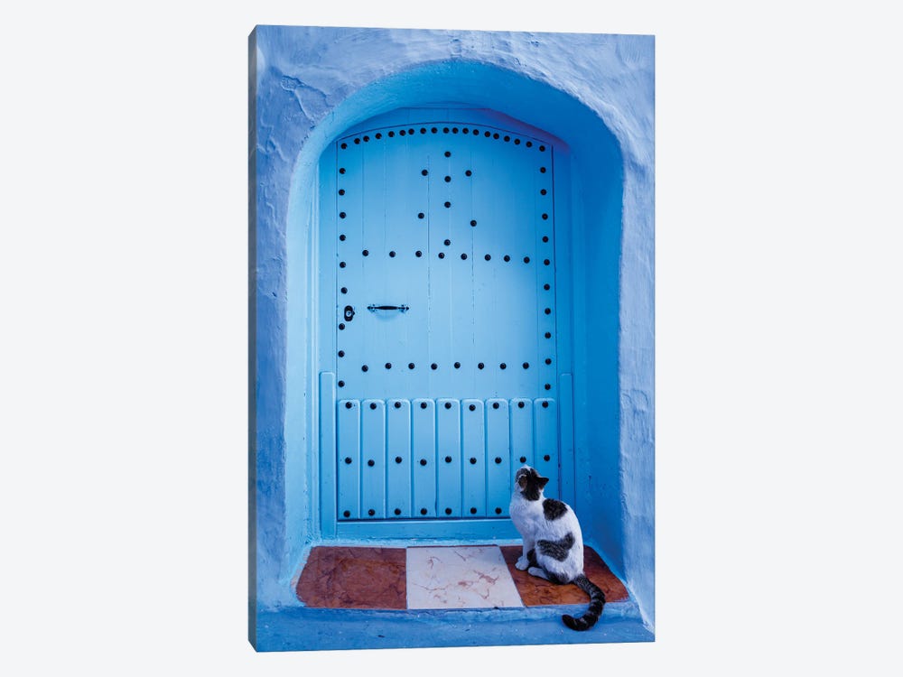 Cat And Blue Door, Morocco by Matteo Colombo 1-piece Canvas Art Print