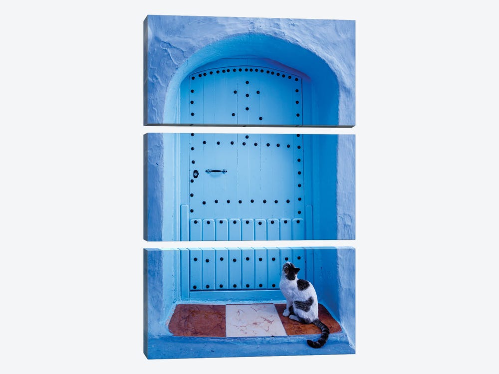 Cat And Blue Door, Morocco by Matteo Colombo 3-piece Art Print