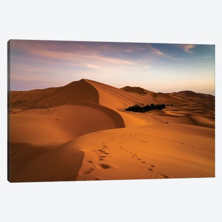 Dawn At The Desert, Morocco Canvas Print #TEO1359} by Matteo Colombo Canvas Art Print