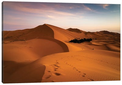 Dawn At The Desert, Morocco Canvas Art Print - Morocco