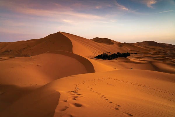 Moroccan Décor: Dawn At The Desert, Morocco by Matteo Colombo