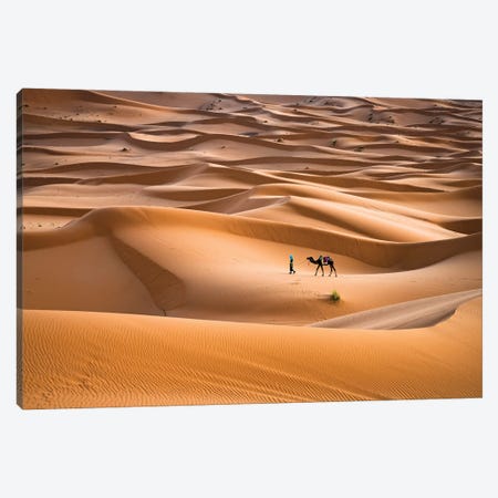 Camel Journey, Morocco I Canvas Print #TEO1360} by Matteo Colombo Canvas Artwork