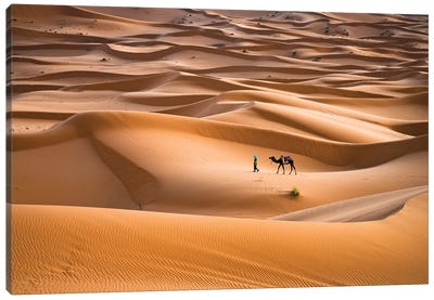 Camel Journey, Morocco I Canvas Art Print - Camel Art