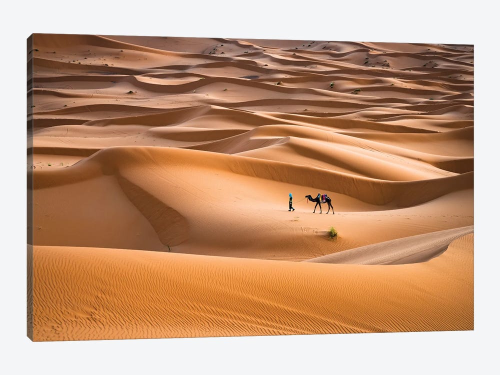 Camel Journey, Morocco I by Matteo Colombo 1-piece Art Print
