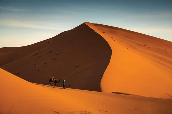 Camels: Camel Journey, Morocco II by Matteo Colombo