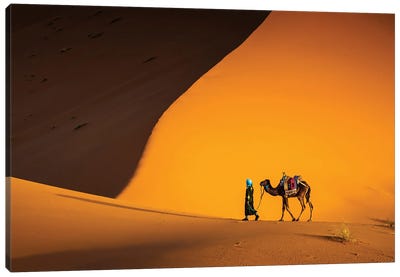 The Camel Driver, Morocco II Canvas Art Print - Camel Art