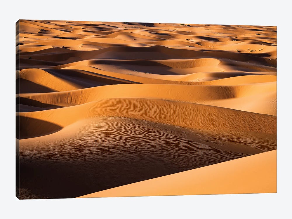 Endless Sand Dunes, Morocco Canvas Print by Matteo Colombo | iCanvas