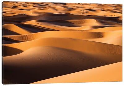 Endless Sand Dunes, Morocco Canvas Art Print - Morocco