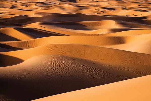 Moroccan Décor: Endless Sand Dunes, Morocco by Matteo Colombo