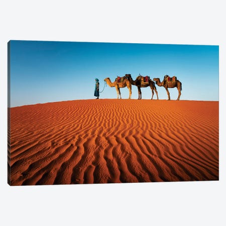 The Camel Caravan, Morocco I Canvas Print #TEO1366} by Matteo Colombo Art Print