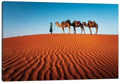 The Camel Caravan, Morocco I Canvas Art Print - Morocco