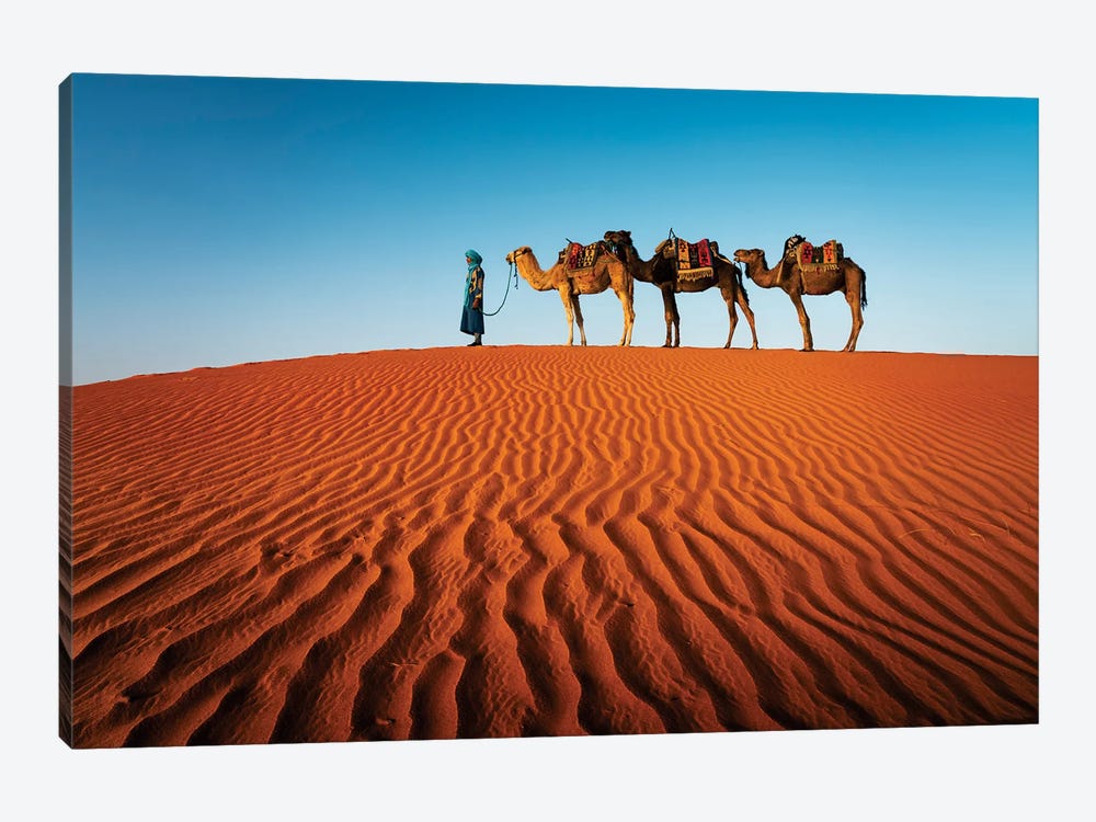 The Camel Caravan, Morocco I by Matteo Colombo 1-piece Art Print